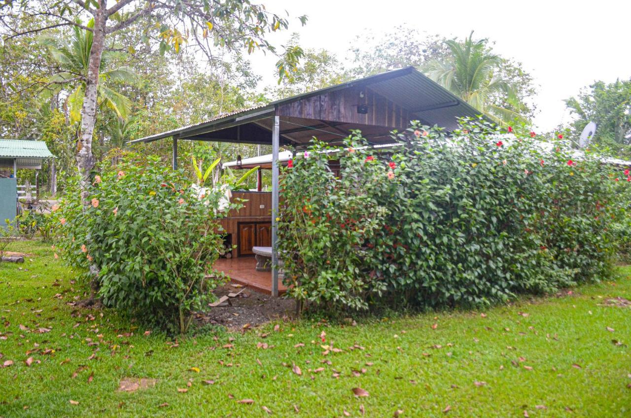 Hospedaje Y Alojamiento Cabanas Don Beto La Palma Exterior foto