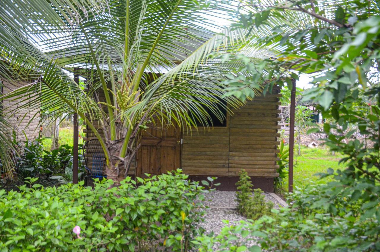 Hospedaje Y Alojamiento Cabanas Don Beto La Palma Exterior foto